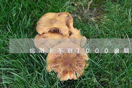 信用卡不到7000逾期 信用卡不到7000逾期
