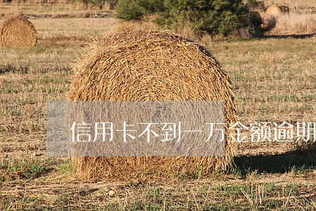 信用卡不到一万金额逾期不还 信用卡不到一万金额逾期不还