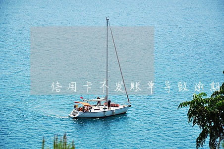 信用卡不发账单导致逾期 信用卡不发账单导致逾期