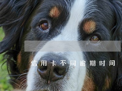 信用卡不同逾期时间