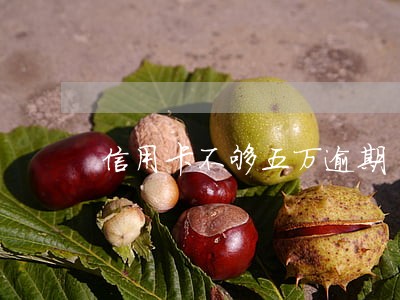 信用卡不够五万逾期 信用卡不够五万逾期