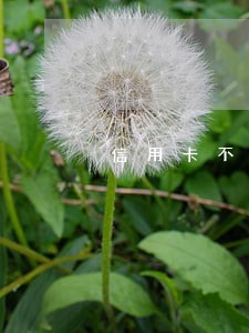 信用卡不小心被逾期 信用卡不小心被逾期