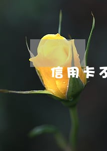 信用卡不小心逾期1个月 信用卡不小心逾期1个月