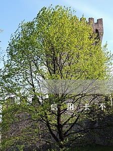 信用卡不小心逾期3个月 信用卡不小心逾期3个月