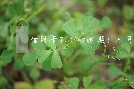 信用卡不小心逾期3个月没事吧 信用卡不小心逾期3个月没事吧