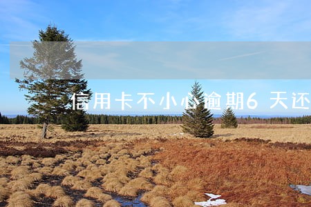 信用卡不小心逾期6天还能用嘛 信用卡不小心逾期6天还能用嘛