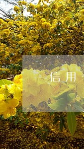 信用卡不小心逾期一天有关系吗 信用卡不小心逾期一天有关系吗