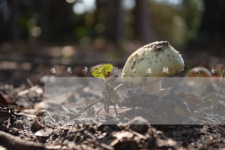 信用卡不小心逾期一次会影响征信 信用卡不小心逾期一次会影响征信