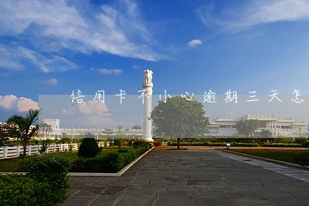 信用卡不小心逾期三天怎么补救 信用卡不小心逾期三天怎么补救