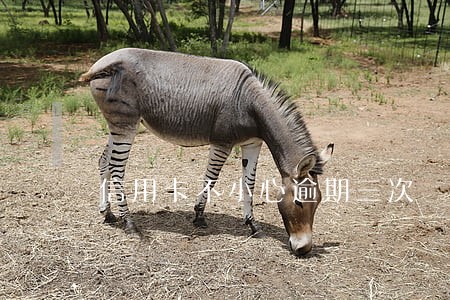 信用卡不小心逾期三次 信用卡不小心逾期三次