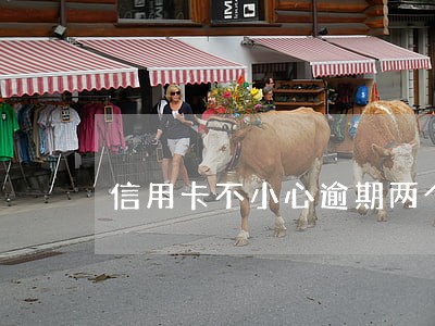 信用卡不小心逾期两个月怎么办 信用卡不小心逾期两个月怎么办