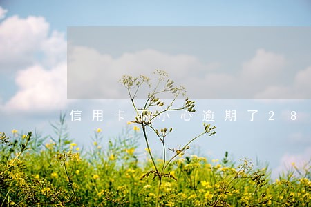 信用卡不小心逾期了28块钱 信用卡不小心逾期了28块钱