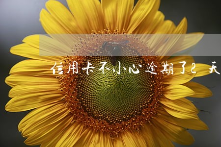 信用卡不小心逾期了2天 信用卡不小心逾期了2天