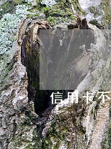 信用卡不小心逾期了会上征信吗