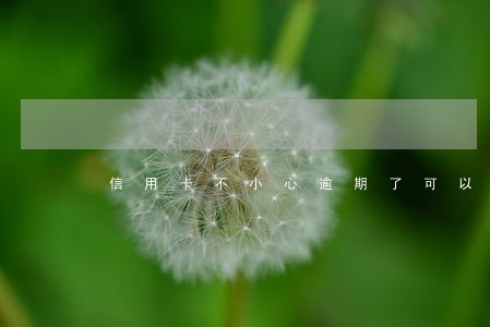 信用卡不小心逾期了可以起诉吗 信用卡不小心逾期了可以起诉吗