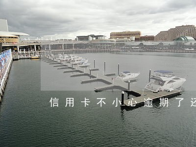 信用卡不小心逾期了还不起了 信用卡不小心逾期了还不起了
