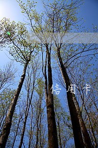 信用卡不小心逾期几十块钱 信用卡不小心逾期几十块钱