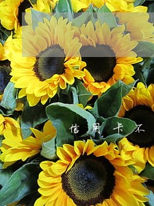 信用卡不小心逾期几天有没有事