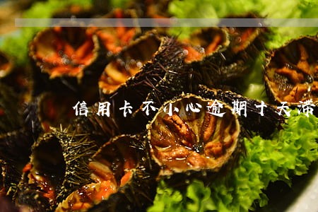 信用卡不小心逾期十天滞纳金 信用卡不小心逾期十天滞纳金