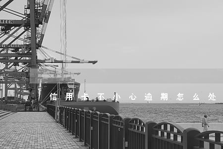 信用卡不小心逾期怎么处理