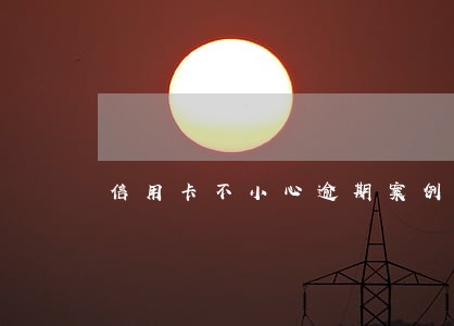 信用卡不小心逾期案例