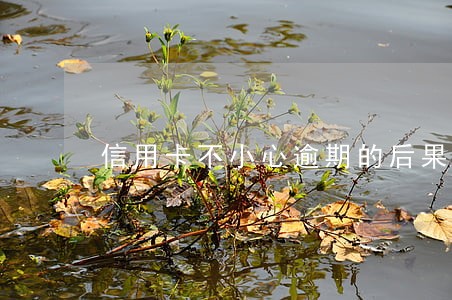信用卡不小心逾期的后果 信用卡不小心逾期的后果