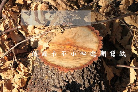 信用卡不小心逾期贷款