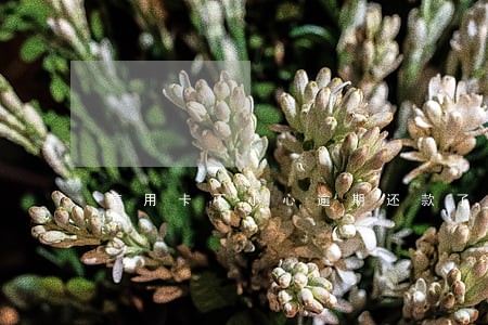 信用卡不小心逾期还款了怎么办 信用卡不小心逾期还款了怎么办