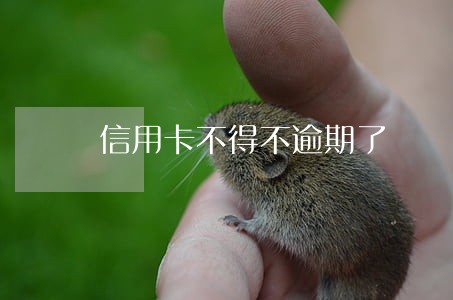 信用卡不得不逾期了 信用卡不得不逾期了