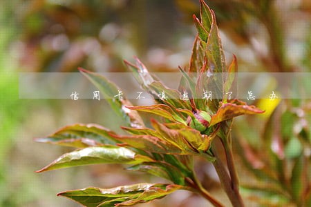 信用卡不慎逾期了怎办 信用卡不慎逾期了怎办