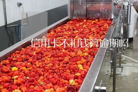 信用卡不扣钱算逾期吗 信用卡不扣钱算逾期吗