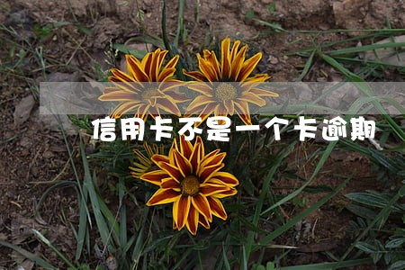 信用卡不是一个卡逾期