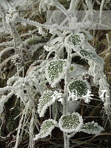 信用卡不是全额还算不算逾期 信用卡不是全额还算不算逾期