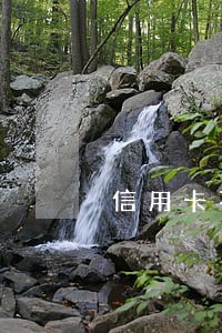 信用卡不是恶意逾期有补救吗 信用卡不是恶意逾期有补救吗
