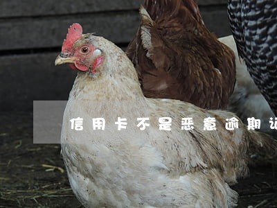 信用卡不是恶意逾期证明