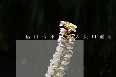 信用卡不是本人使用逾期了怎么办