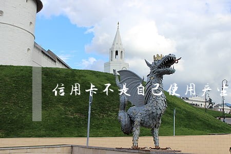 信用卡不是自己使用产生的逾期 信用卡不是自己使用产生的逾期