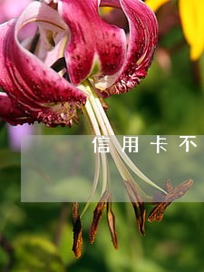 信用卡不是连续逾期有影响吗 信用卡不是连续逾期有影响吗