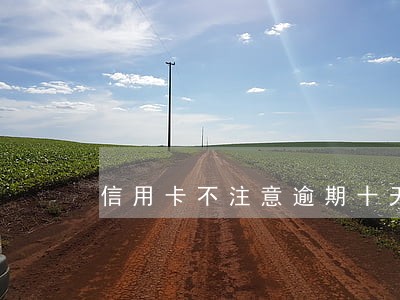 信用卡不注意逾期十天怎么办