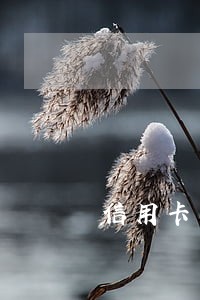 信用卡不用会覆盖逾期 信用卡不用会覆盖逾期