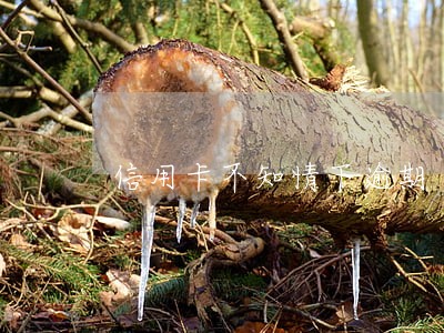 信用卡不知情下逾期 信用卡不知情下逾期