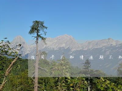 信用卡不知情逾期不知情 信用卡不知情逾期不知情