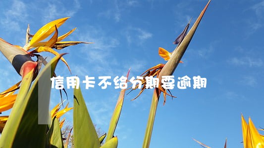 信用卡不给分期要逾期 信用卡不给分期要逾期