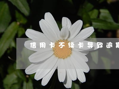 信用卡不续卡导致逾期怎么办 信用卡不续卡导致逾期怎么办