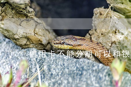 信用卡不能分期可以和银行协商吗没有逾期 信用卡不能分期可以和银行协商吗没有逾期