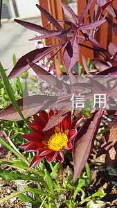 信用卡不良M6逾期多少天 信用卡不良M6逾期多少天
