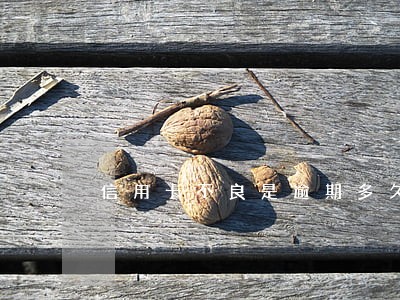 信用卡不良是逾期多久 信用卡不良是逾期多久
