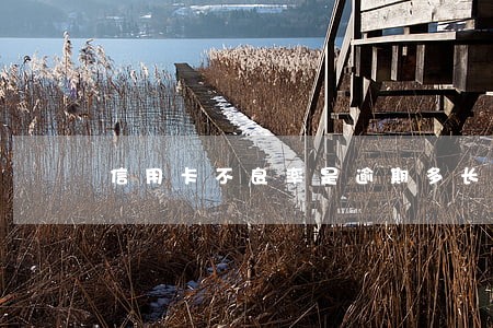 信用卡不良率是逾期多长时间