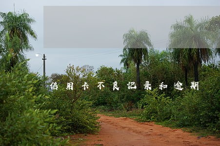 信用卡不良记录和逾期 信用卡不良记录和逾期