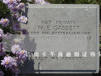 信用卡不良逾期证券化